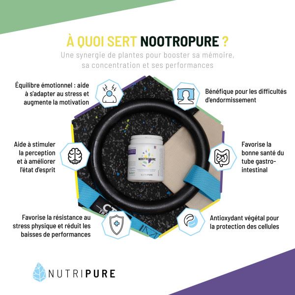 Nootropure – Image 6