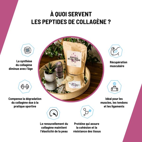 Peptide de collagène Peptan® – Image 6