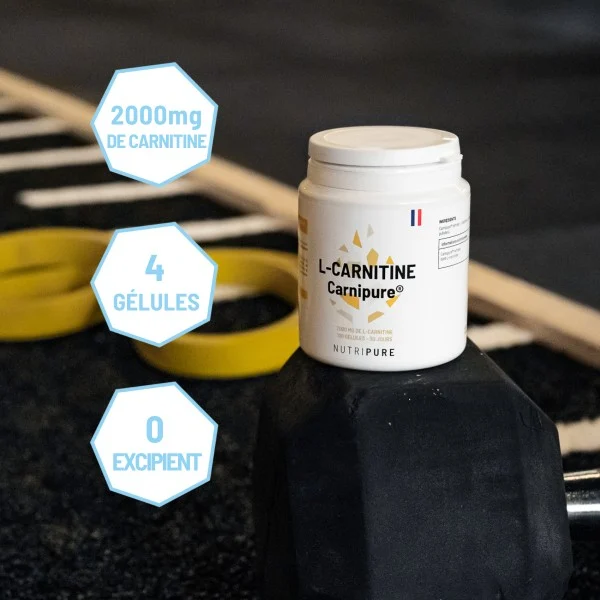 L-Carnitine Carnipure® – Image 6