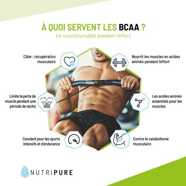 BCAA 2.1.1 – Image 6